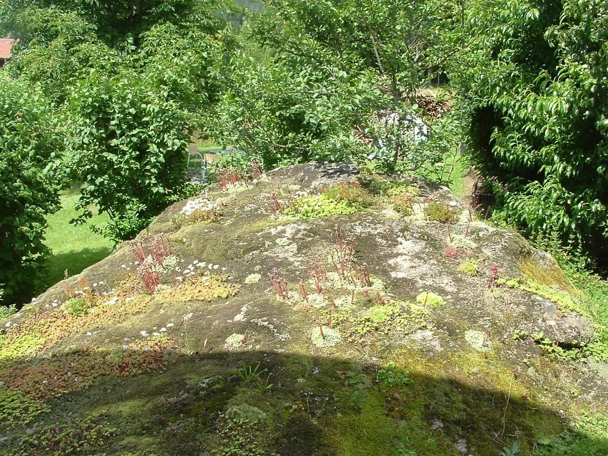 Haus Eschenberg Daire Kirchdorf im Wald